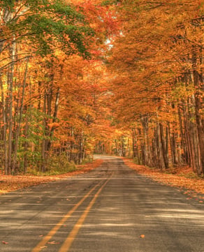 Fall
