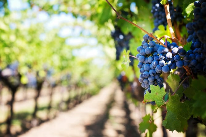 The Best Outdoor Activities in Traverse City to Enjoy in Spring