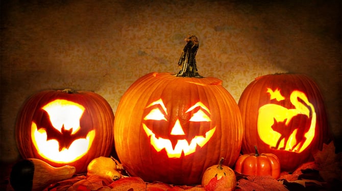 Best Places to Trick-or-Treat in Traverse City