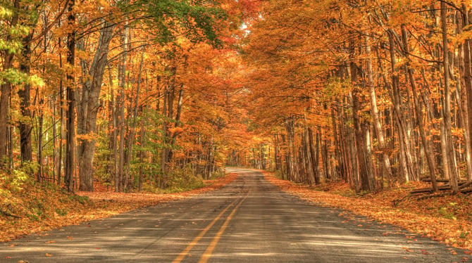 Why Fall Is the Best Time to Visit Traverse City