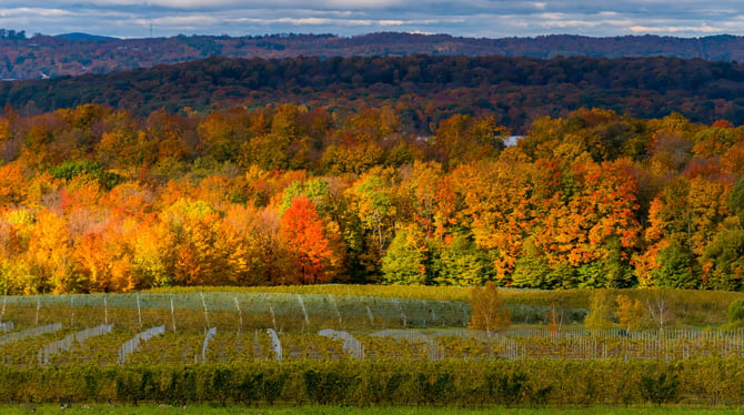 The Best Hiking Trails Near Traverse City for Every Skill Level
