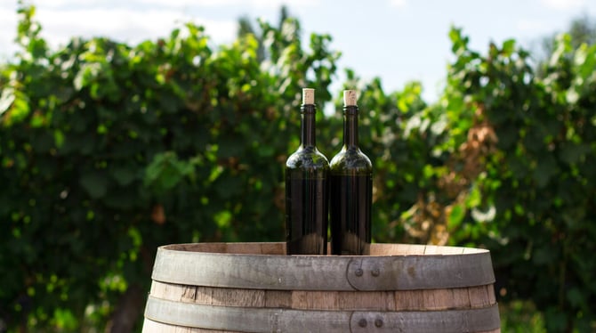 Spend the Afternoon at Mari Vineyards