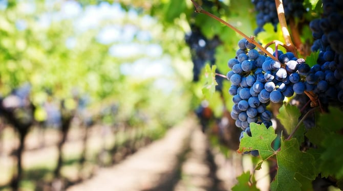 The Best Outdoor Activities in Traverse City to Enjoy in Spring
