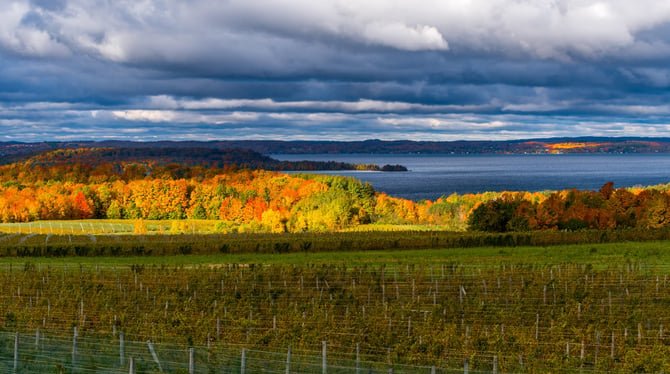 Where to See the Best Fall Colors in Traverse City