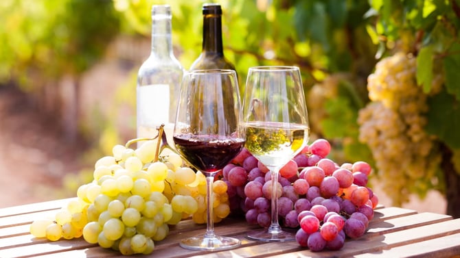 A Wine Lover's Guide to Traverse City and the Old Mission Peninsula
