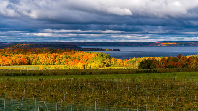 Where to See the Best Fall Colors in Traverse City