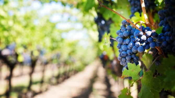 The Best Outdoor Activities in Traverse City to Enjoy in Spring