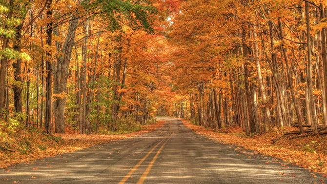 Why Fall Is the Best Time to Visit Traverse City