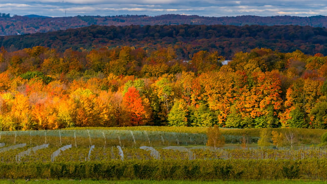 The Best Hiking Trails Near Traverse City for Every Skill Level