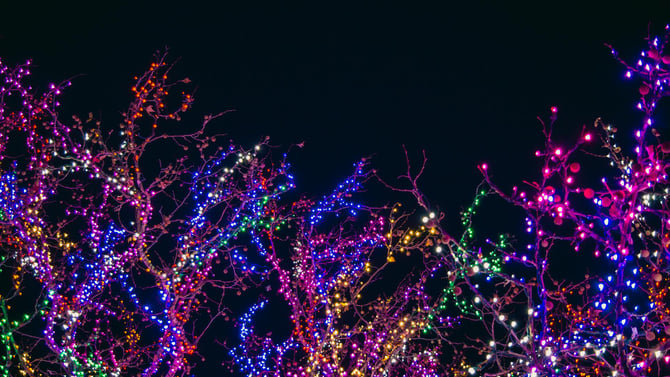 Where to See Christmas Lights in Traverse City