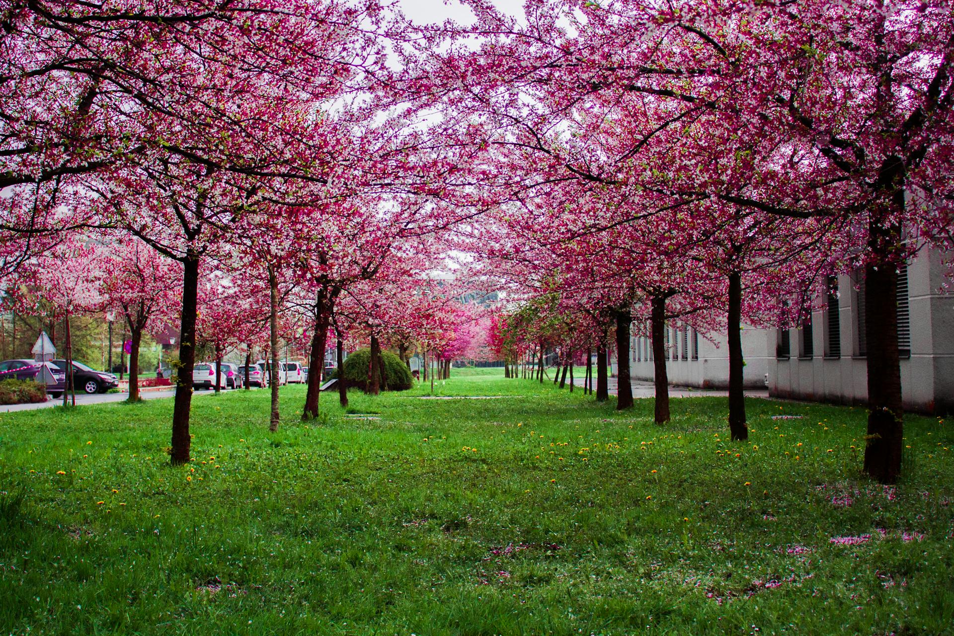Outdoor Activities in Traverse City