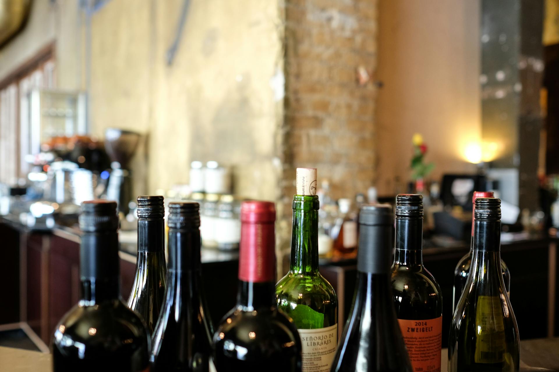 Summer Activities to Experience in Traverse City